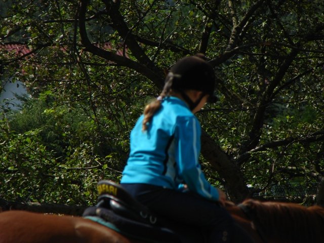 Hubertus 2010